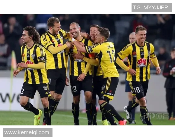 中央海岸对阵纽卡斯的精彩对决分析与赛前预测